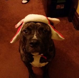 Meet your Posher, Hector